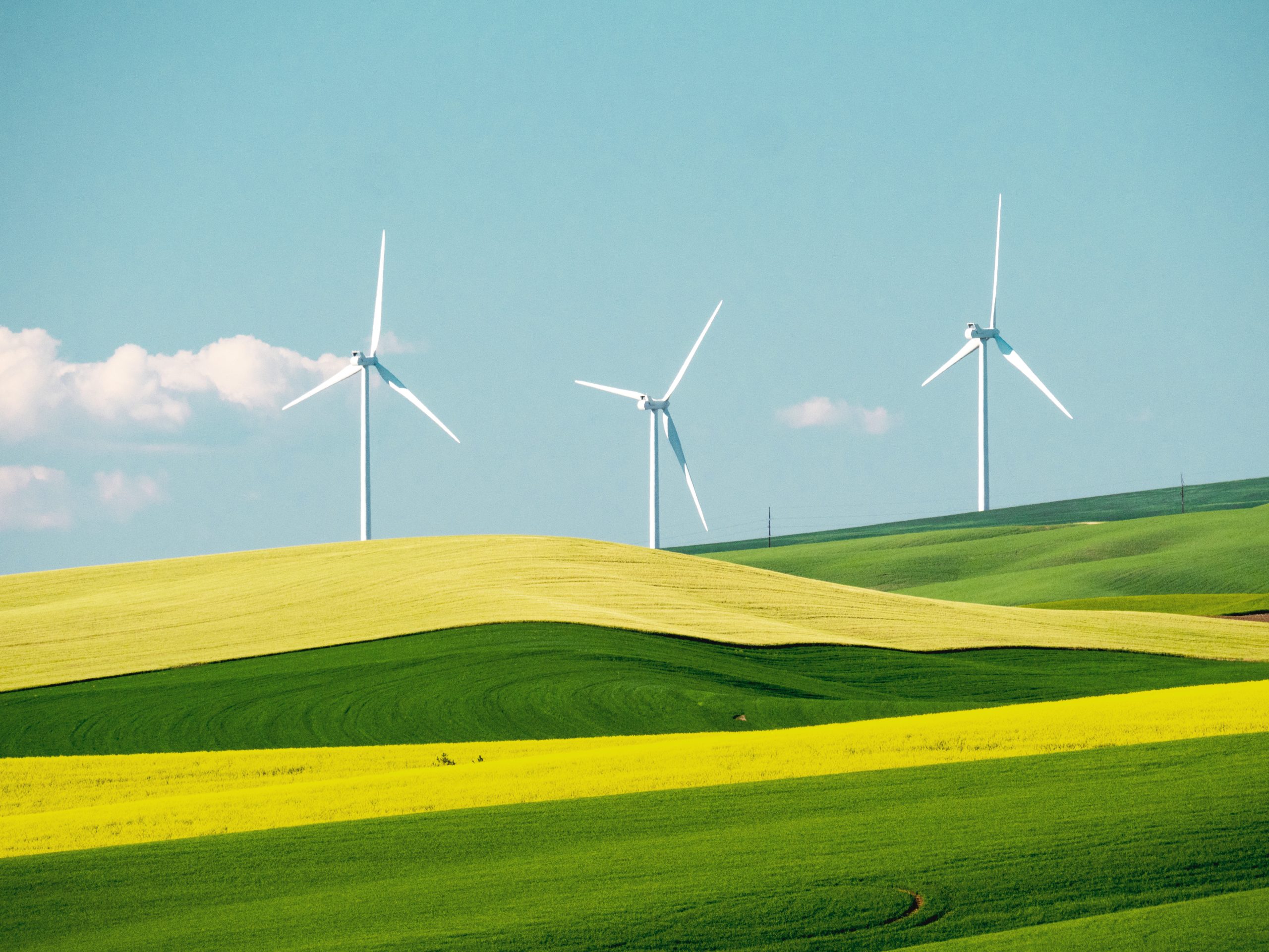 Windmills on a yellow and green field