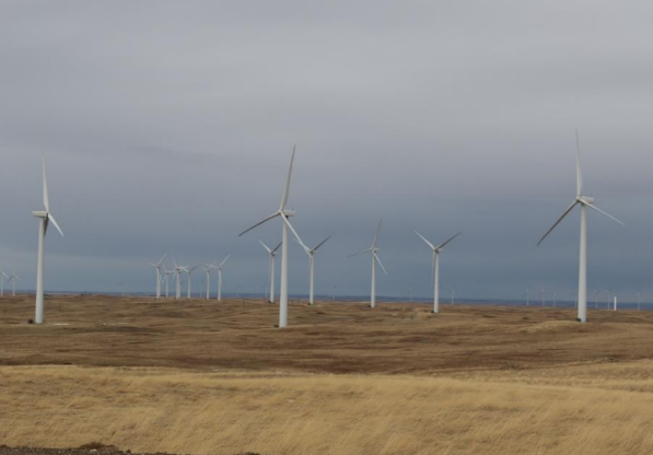 Wind Farm field in the fall